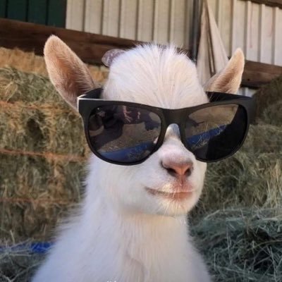 serenitysed2's profile picture