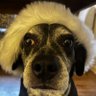 Key's profile picture