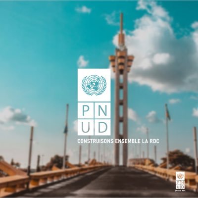 PNUDRDC's profile picture