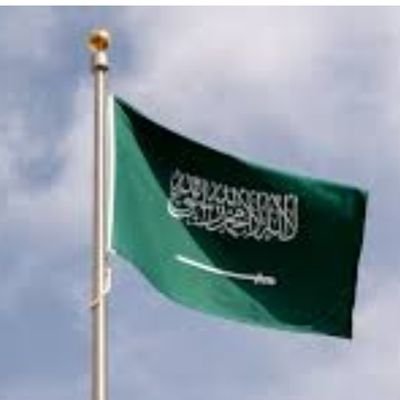 ahamd_shhrni's profile picture