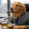 Golden Retriever of Wall street's profile picture