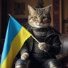 Profilbild von Бот з котиком на аватарці🖕