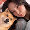 Profilbild von しそ