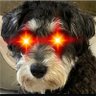 eddy's profile picture