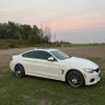 $BMW GIVE AWAY's profile picture