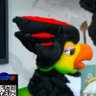 Shimaryシ's profile picture