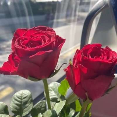 خطابة زوج's profile picture