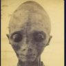 Credulous Skeptic profil fotoğrafı
