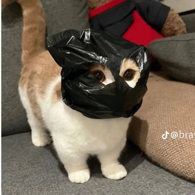 chimonoy's profile picture