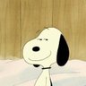 jake! profil fotoğrafı