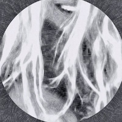 Yolo304741's profile picture
