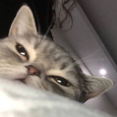 valenpurukan_'s profile picture
