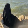 محمدی's profile picture