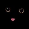 カミル profil fotoğrafı