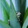 Фото профиля はざや