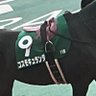 勝負's profile picture