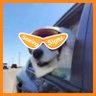 Profilbild von Tyler 🧡 sign