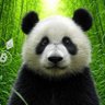Profilbild von 豆豆打不过问问