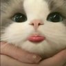 らみ profil fotoğrafı