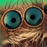 Profilbild von Eduard