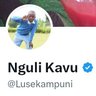 Profilbild von Nguli Kavu