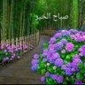 راشد الحجري 的头像