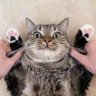 Ton's profile picture