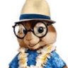 Profilbild von Esquilo míope