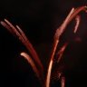 Фото профиля edmondunkles