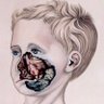 Profilbild von Eduardo Baughman