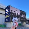 鵜國 SR名古屋2Days+12月東京2Days 的头像