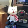 空色自転車 profil fotoğrafı