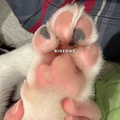เจ้าความสุข·͜·♡'s profile picture
