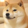 Bosque's profile picture