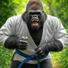 BJJ Ape 的头像