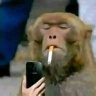 tesk's profile picture