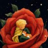 Фото профиля Próxima Centaury