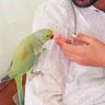 Ridhi profil fotoğrafı
