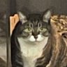 長谷川弘 profil fotoğrafı