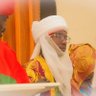 Profilbild von Saifullahi Sagir Bala