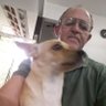 Ademar C.Silveira Silveira's profile picture