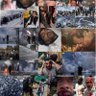 lnteshari profil fotoğrafı