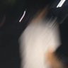 Haziq's profile picture