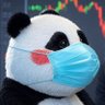 大萝卜's profile picture