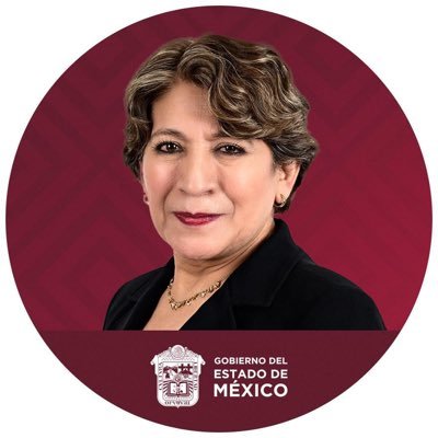 Delfina Gómez A.'s profile picture
