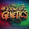 headweight genetics's profile picture