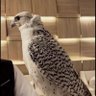 M's profile picture