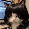 爱回收's profile picture