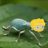Profilbild von Max The Bug