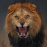 Profilbild von Kings254